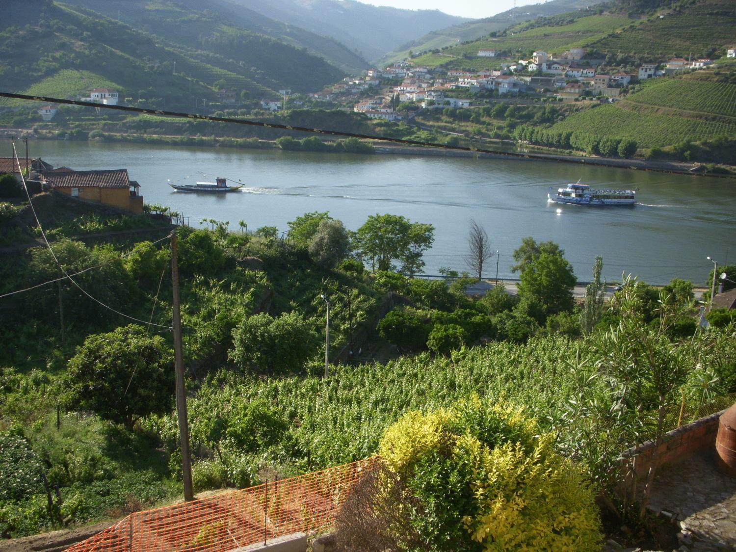 Quinta Da Azenha Hotel Folgosa  Kültér fotó