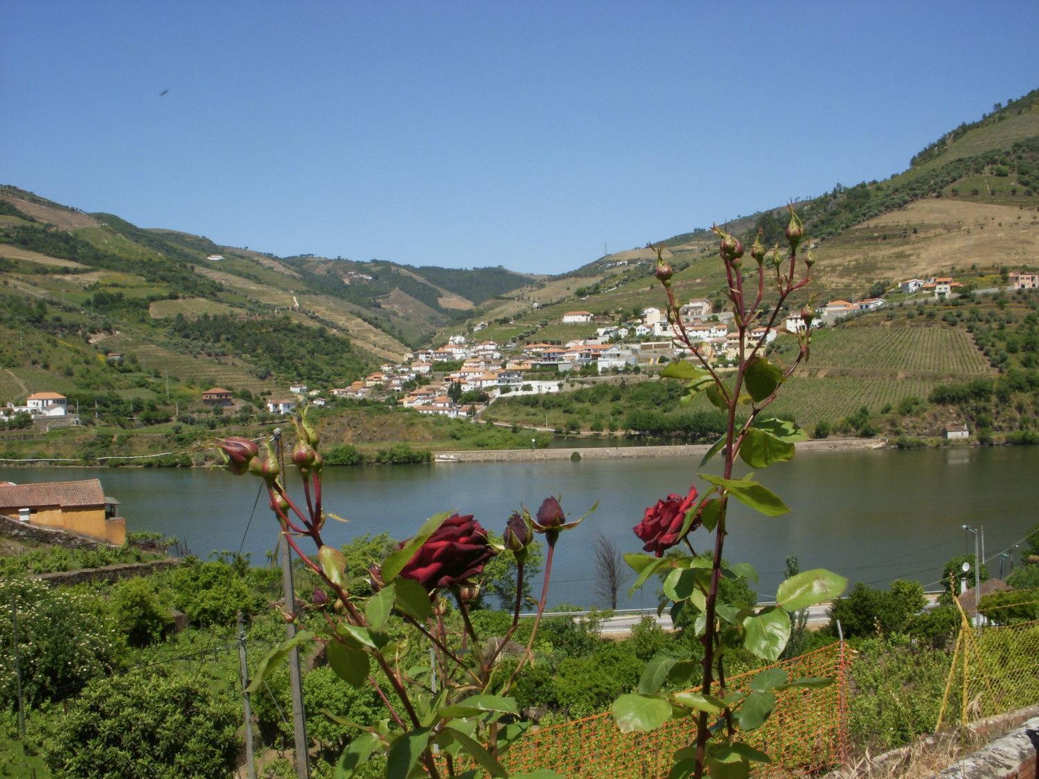 Quinta Da Azenha Hotel Folgosa  Kültér fotó