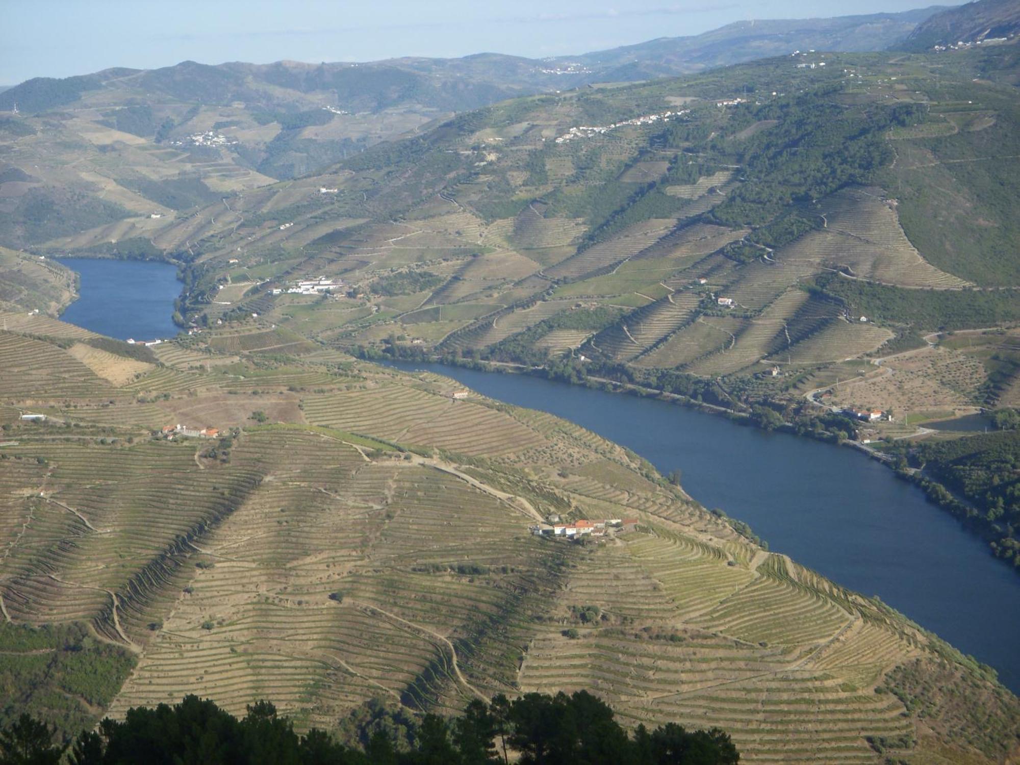 Quinta Da Azenha Hotel Folgosa  Kültér fotó